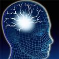 Brainpower - www.scuoladirespiro.com Brainpower - www.scuoladirespiro.com